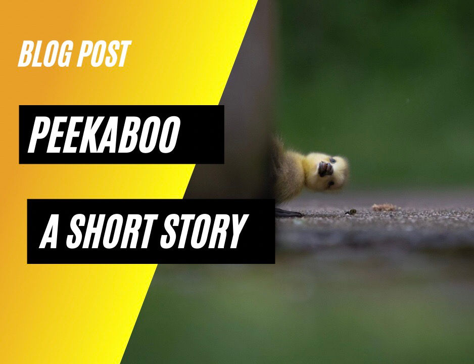 Peekaboo, the Story Behind my Comedy Wildlife Photo