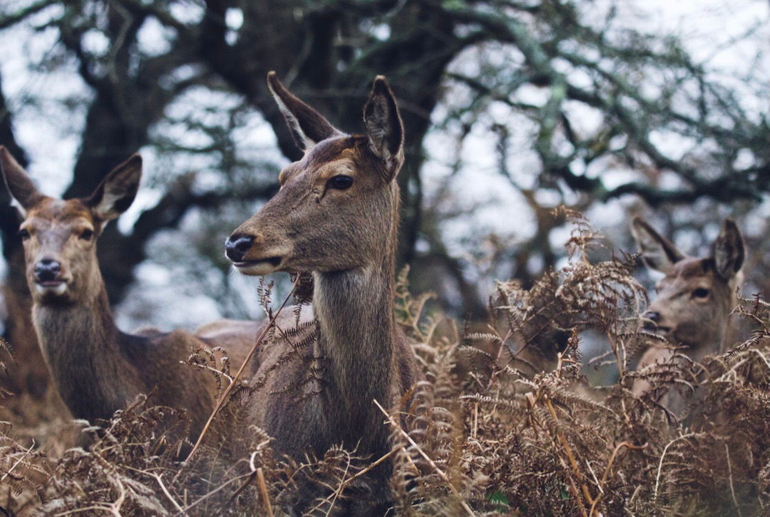 How to Create Cinematic Photos in Lightroom in Under 5 Seconds
